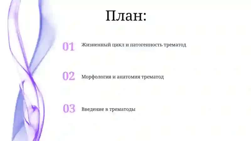 Сатторова Жасмина 2