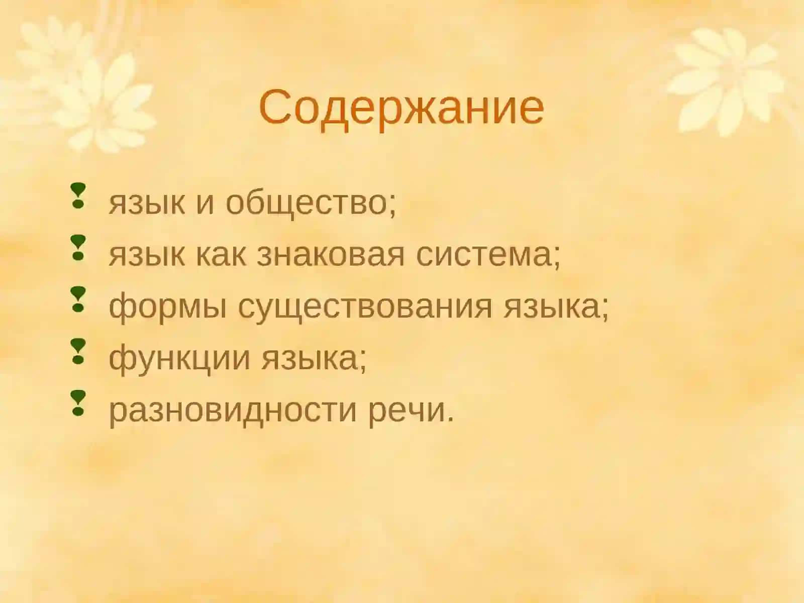 Язык и речь 2