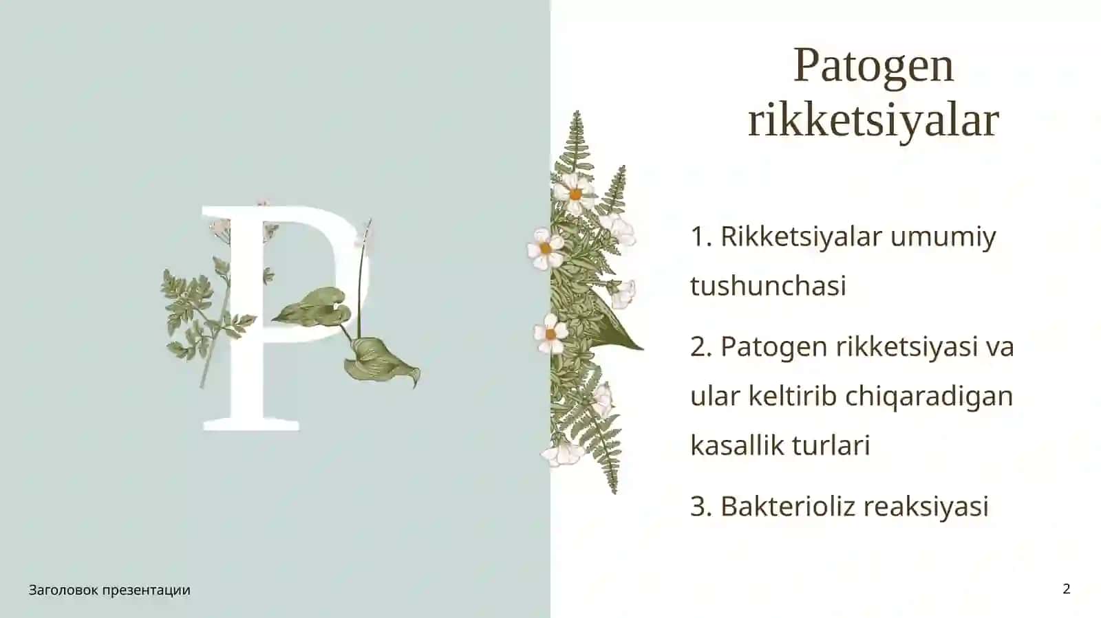 Patogen rikketsiyalar 2