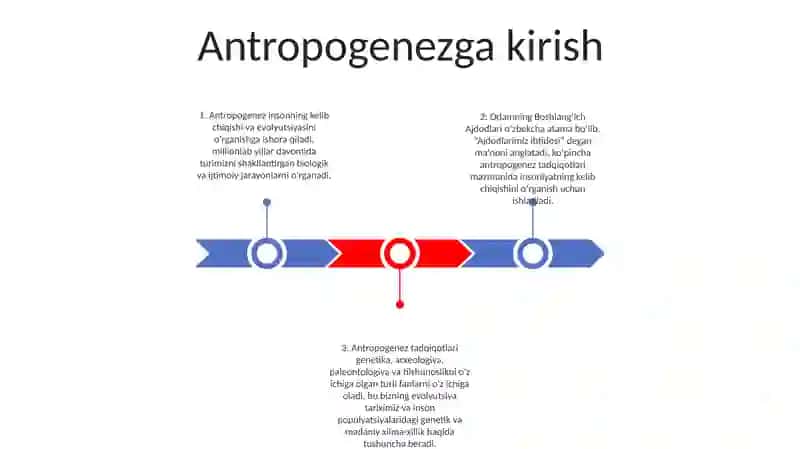 Odamning Boshlang‘ich Ajdodlari 2