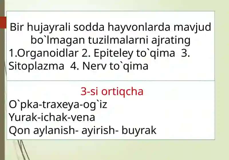 Soxta oyoqlilar sinfi 2