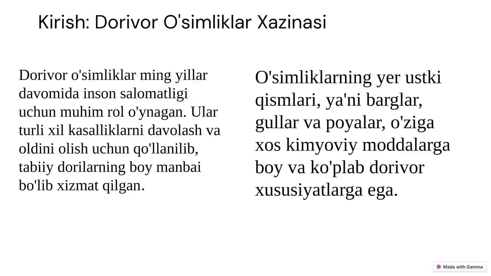 Moychechak 2