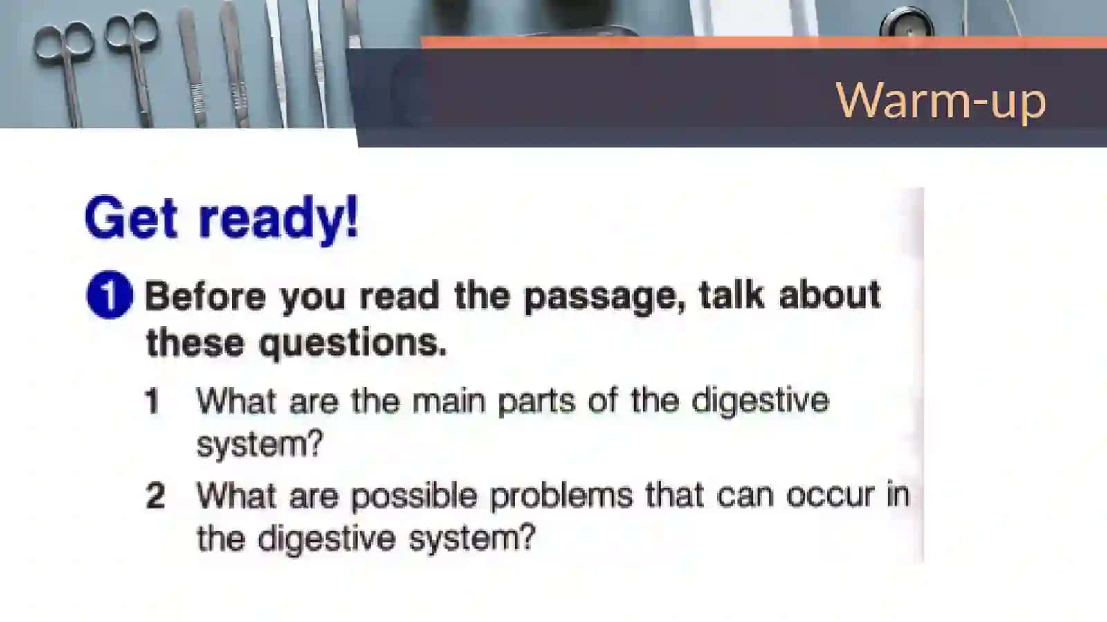 Digestive system 2