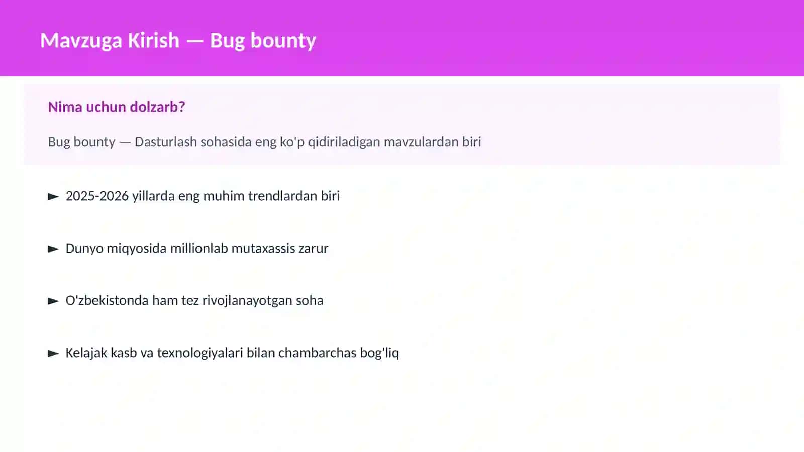 Bug bounty 2