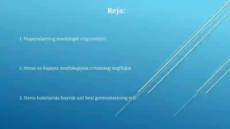 Buyrak usti bezi po'slog'i garmonlarining roli va hujayraning morfologik ko'rinishi 2