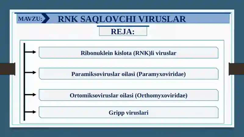 RNK Saqlovchi viruslar 2