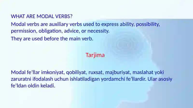 Modal Verbs 2