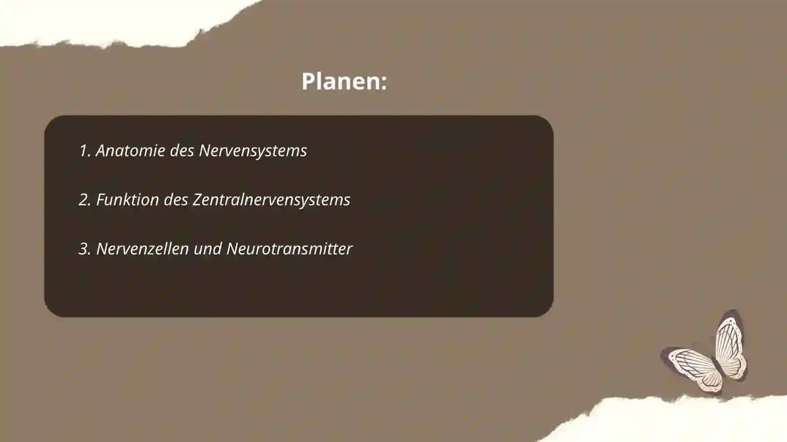 Nervensystem 2