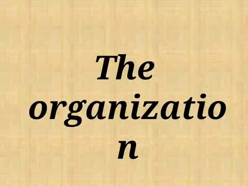 Organization 2