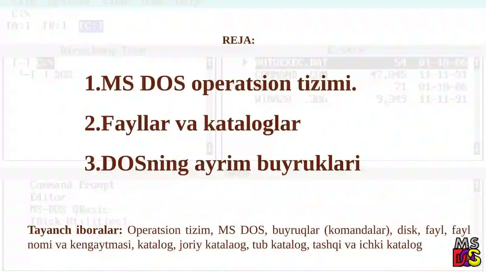 MS DOS operatsion tizimi 2