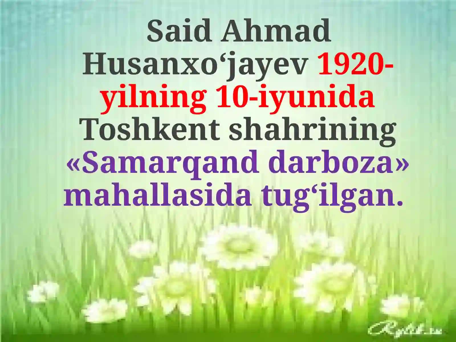 Said Ahmad 2