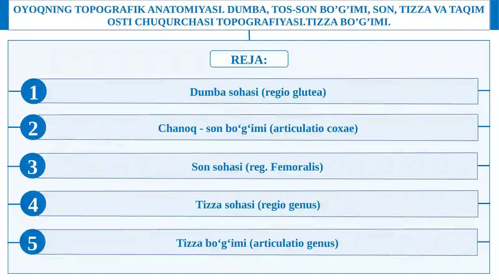 Oyoqning topografik anatomiyasi. 2