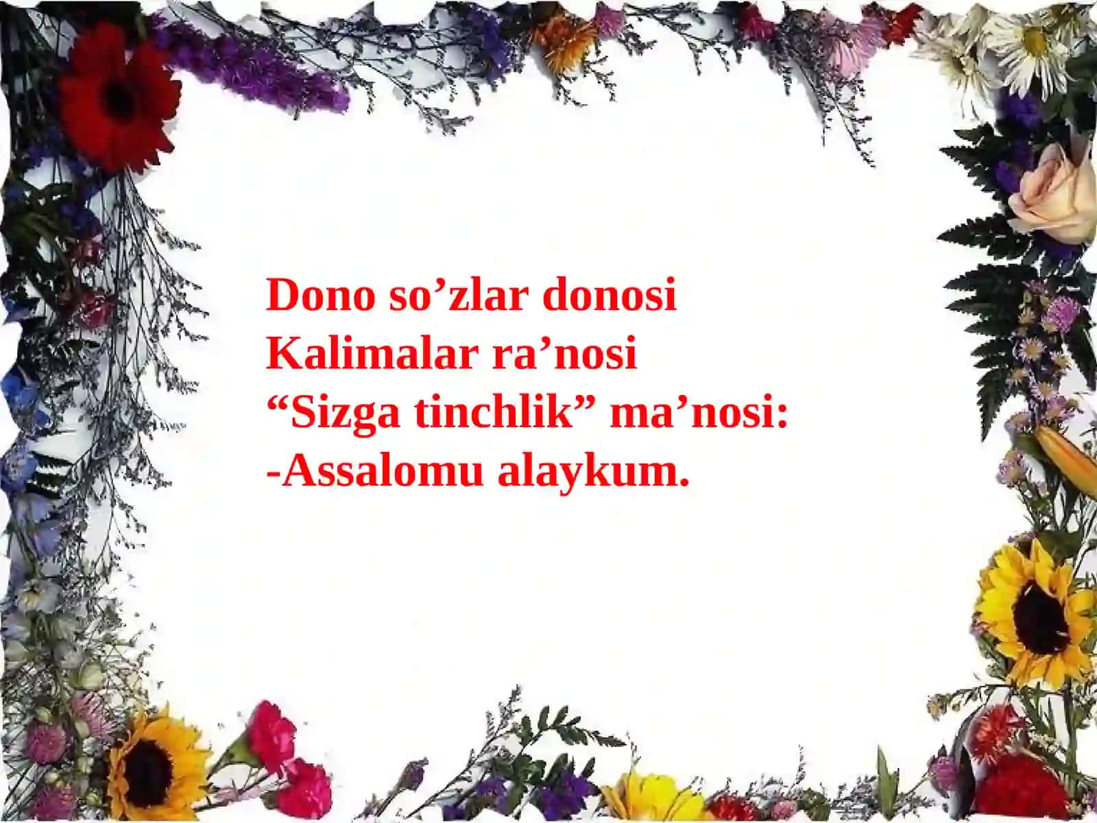 Novdada barglarning joylashuvi 2