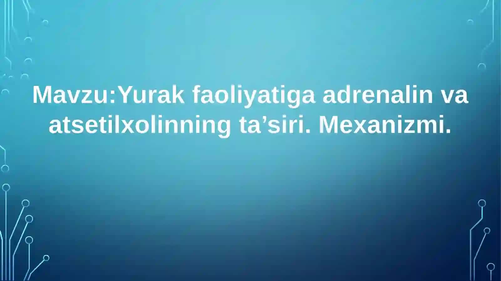 Adrenalin (Epinefrin) 2