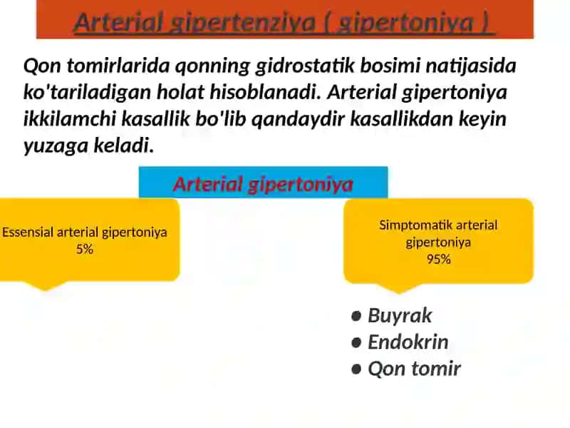 Arterial Gipertenziya 2