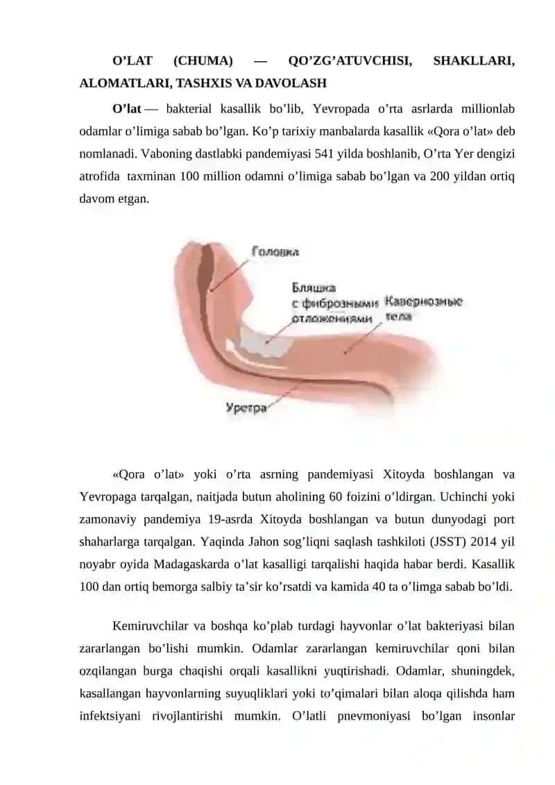 O’LAT KASALLIGI 2