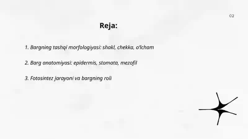 Barg va uning vazifalari 2