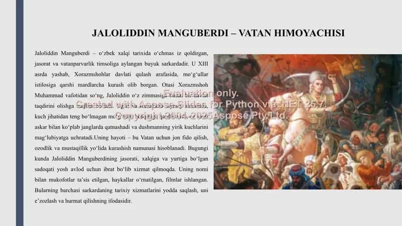 Jaloliddin Manguberdi Vatan himoyachis 2