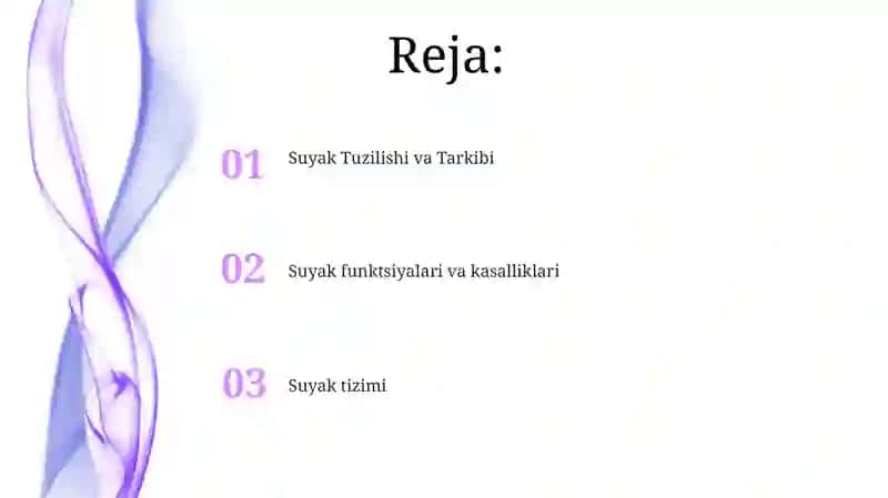 Odam suyaklari 2