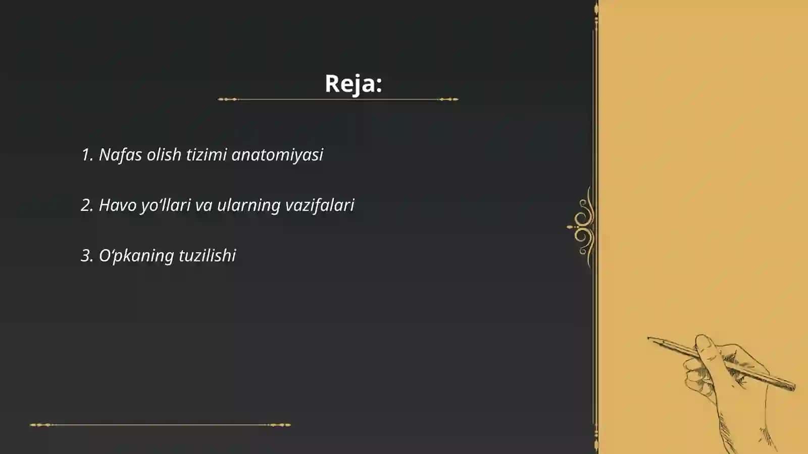 Nafas olish tizimi anatomiyasi 2