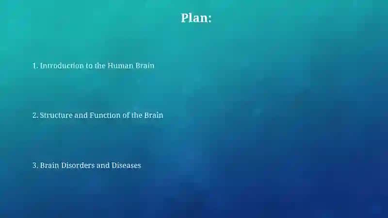 Human brain 2