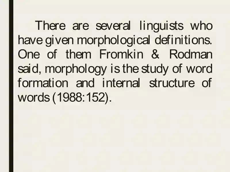 Noun phrase category and its grammatical categories 2