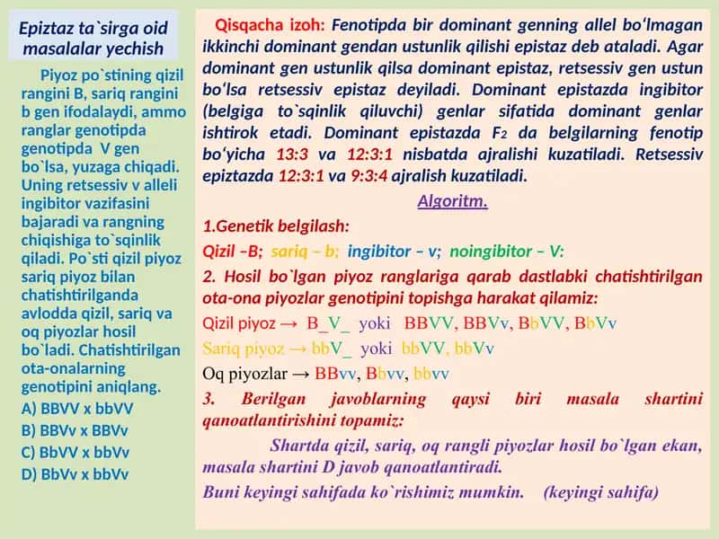 Genlarning Epistaz Ta'siri 2