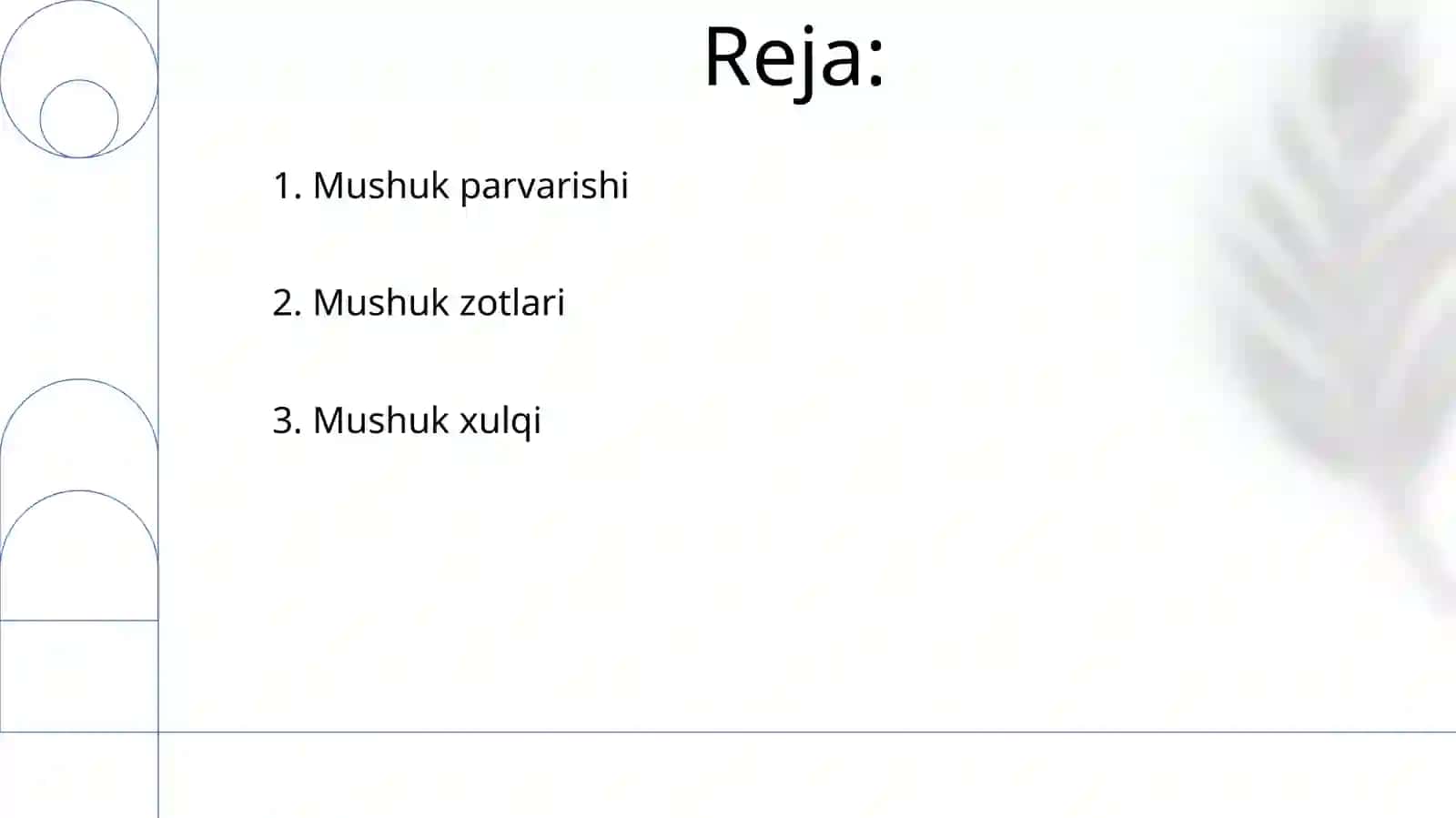 Mushuklar 2