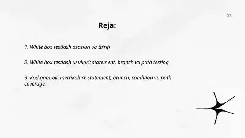 White box testlash asoslari va ta'rifi 2
