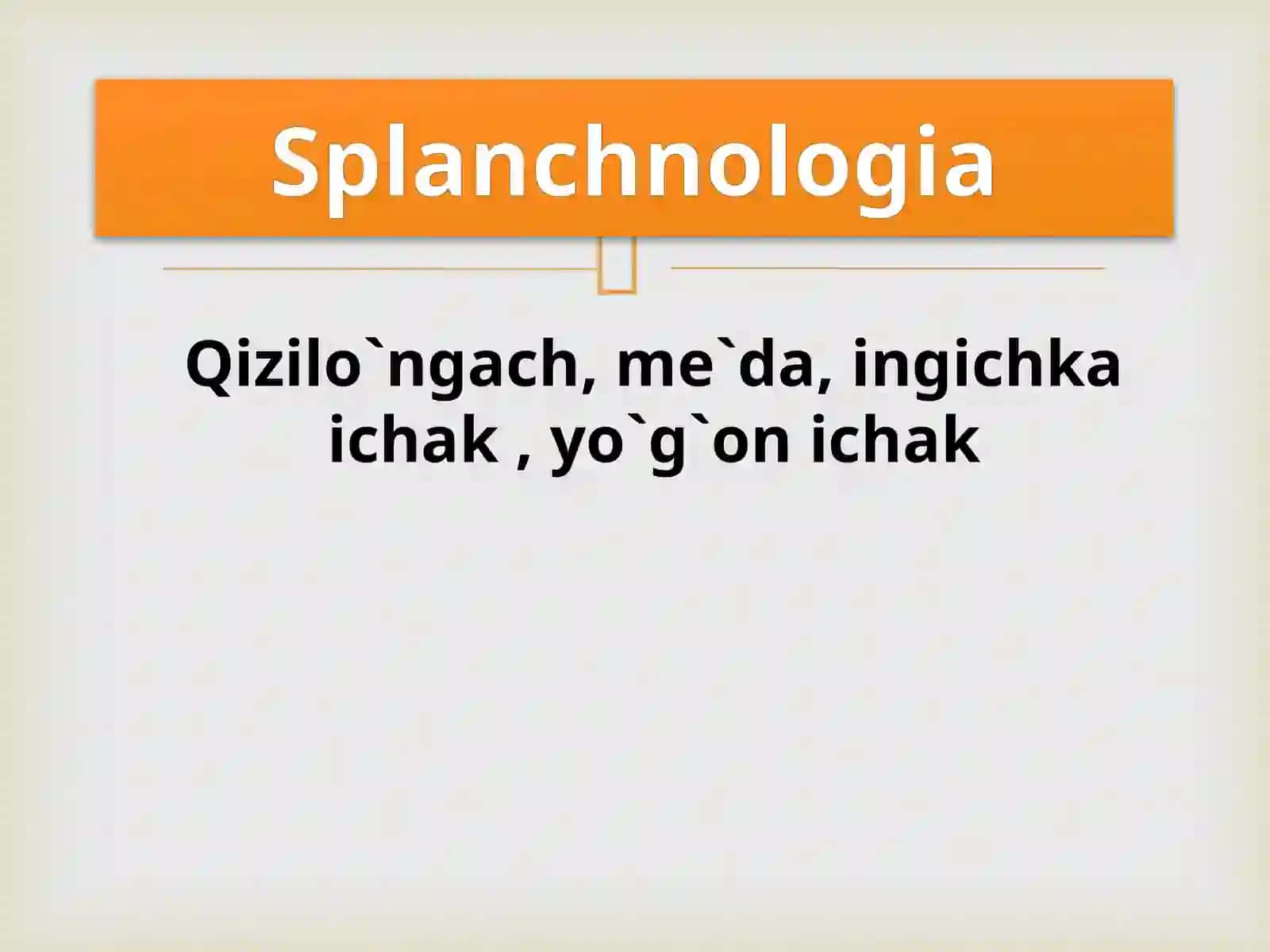 Splanchnologia 2