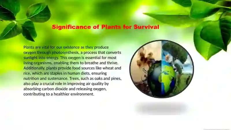 Plants are our_life.pptx 2