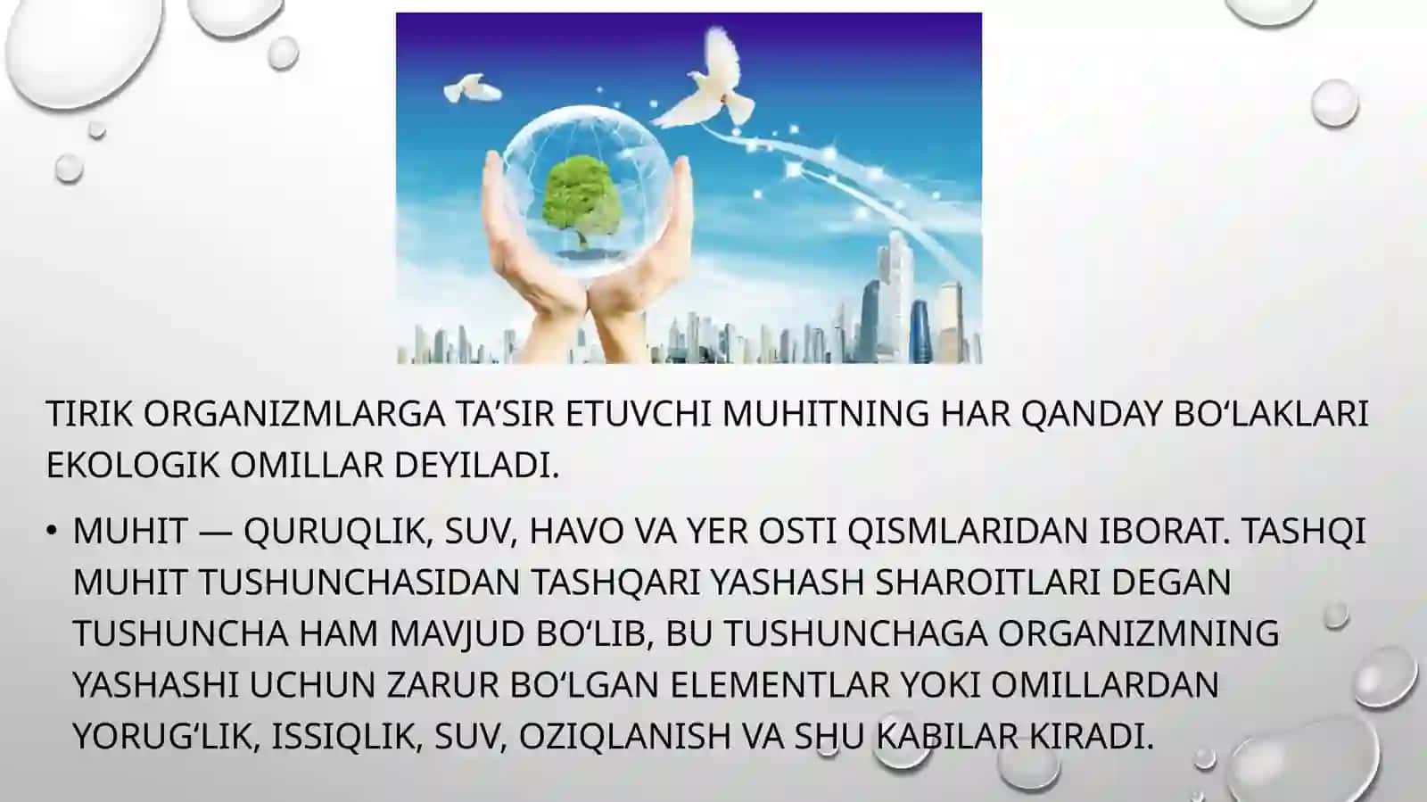 Ekologik omillar 2