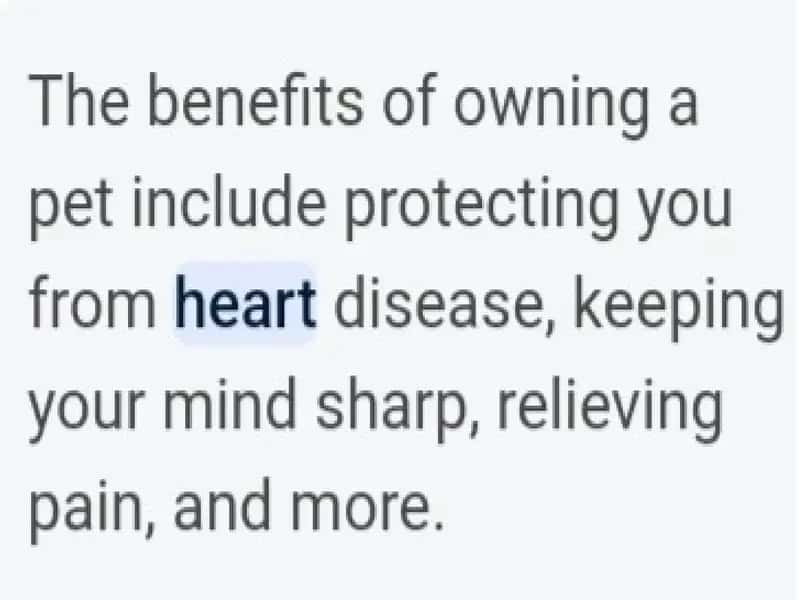 Pet benefits 2