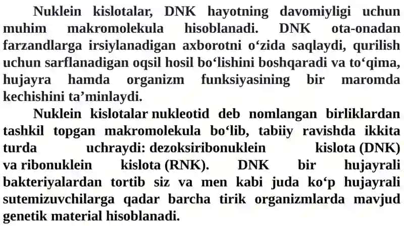 Nukleinkislotalar 2