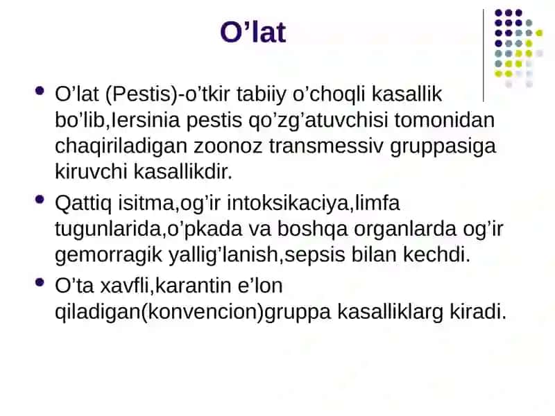 o'lat 2