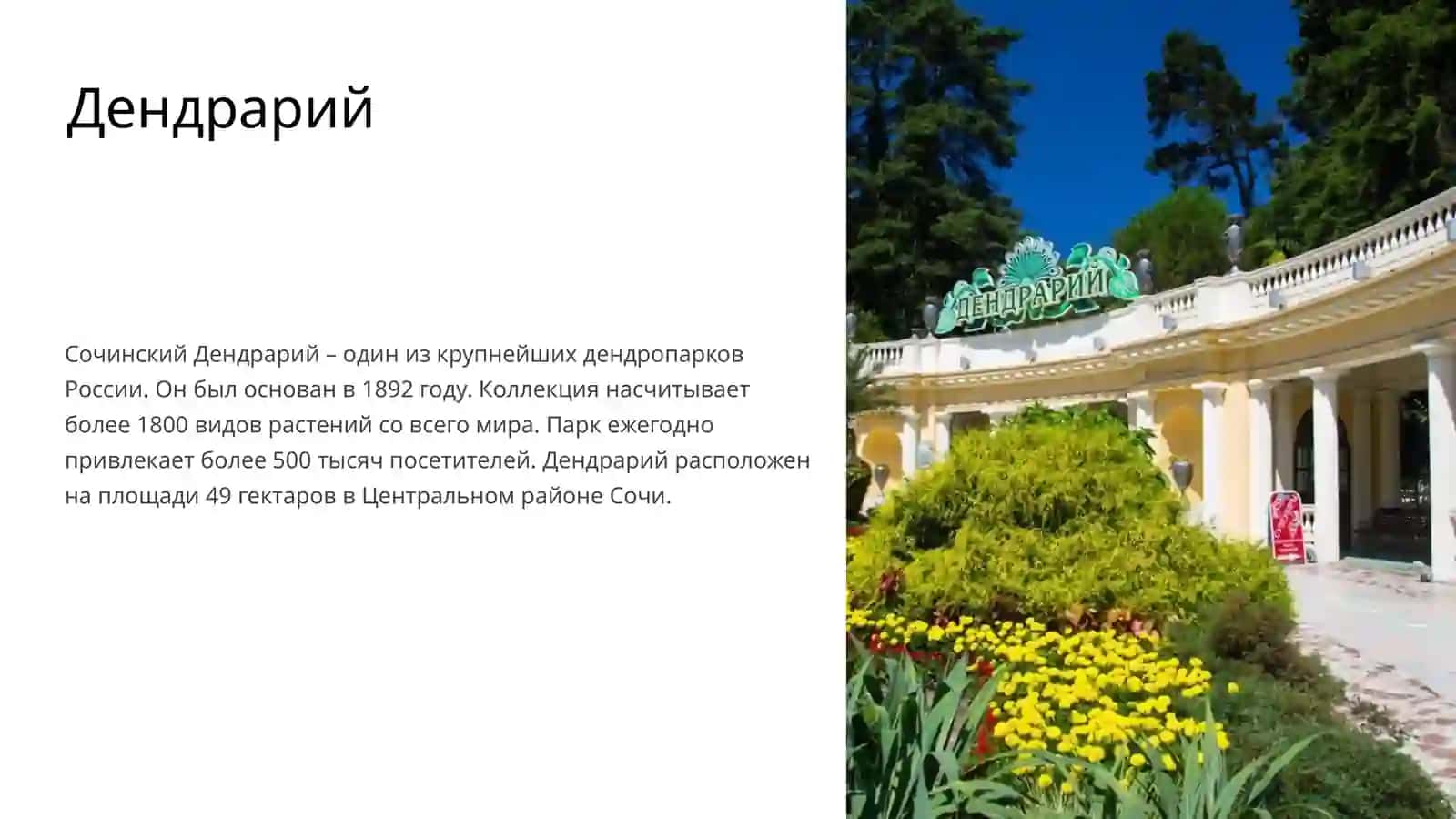 Дендрарий 2