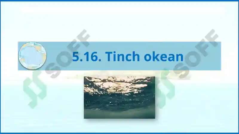 Tinchokean 2