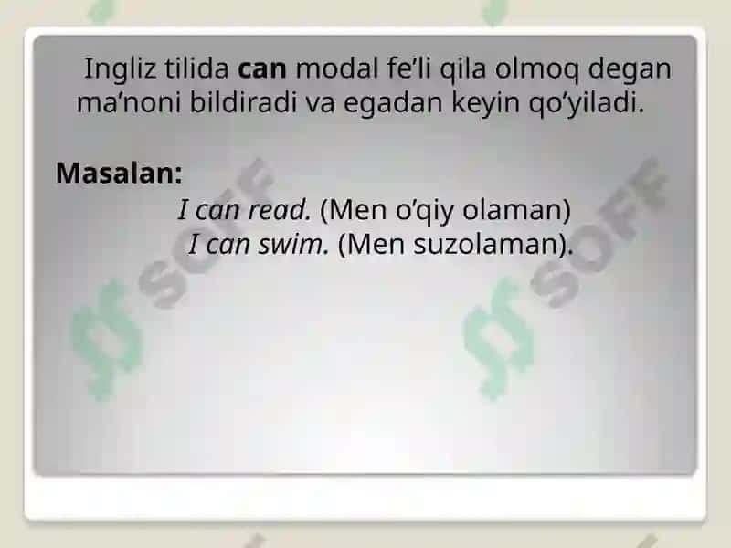 Modal verb “can” 2