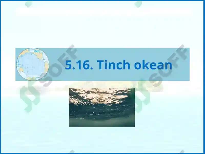 Tinchokean 2