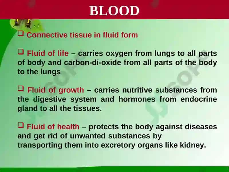 Blood 2