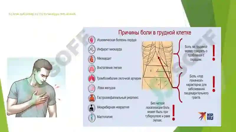 Pulmonologiya 2