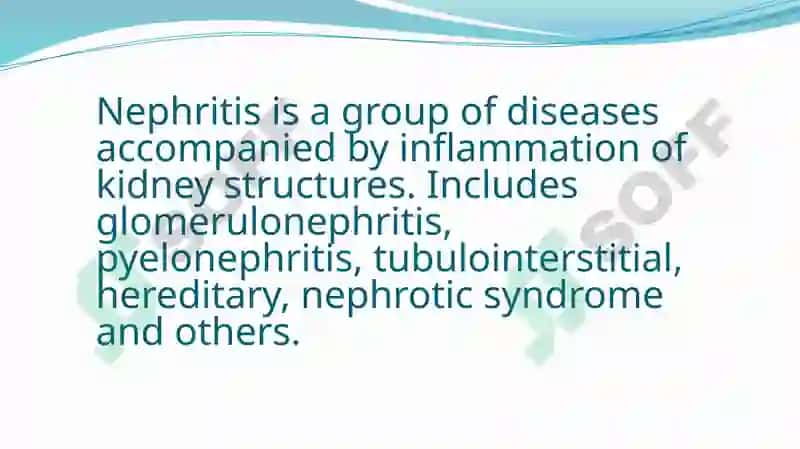 Nephritis 2