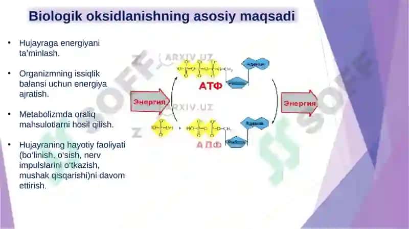 Biologik  oksidlanish 2