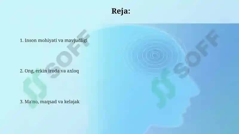 Insonfalsafasi 2