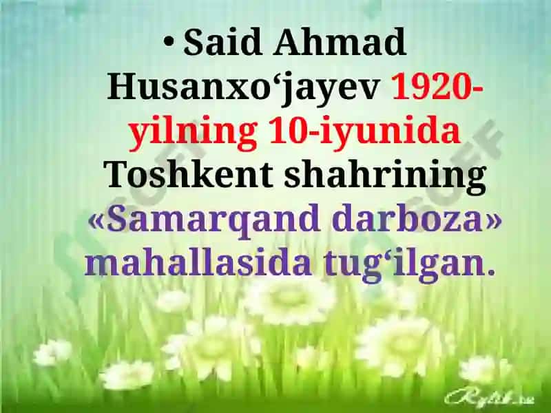 Said Ahmad 2