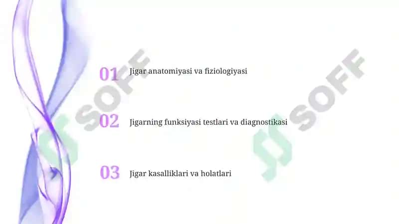 Jigar saratoni 2
