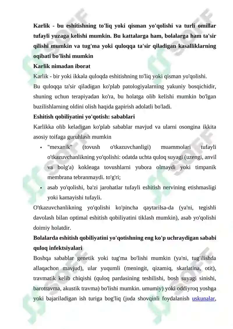 Karlik 2