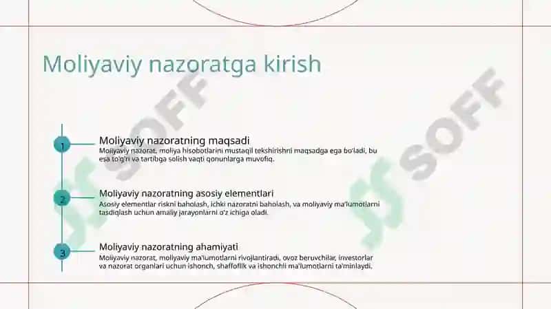 Moliyaviy nazorat 2