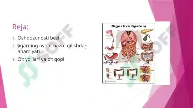 Me’da osti bezio’vat 2