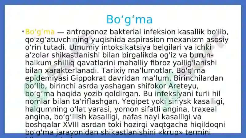 Bo‘g‘ma 2